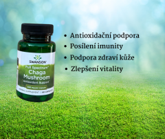Swanson Chaga Mushroom kapsle pro antioxidantní podporu