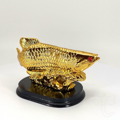 Ryby - Arowana