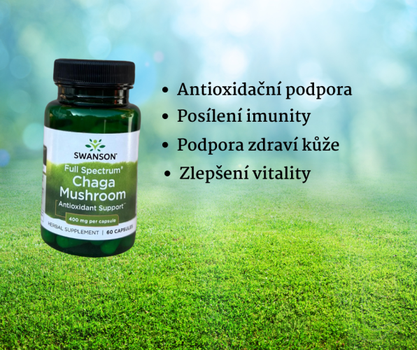 Swanson Chaga Mushroom kapsle pro antioxidantní podporu