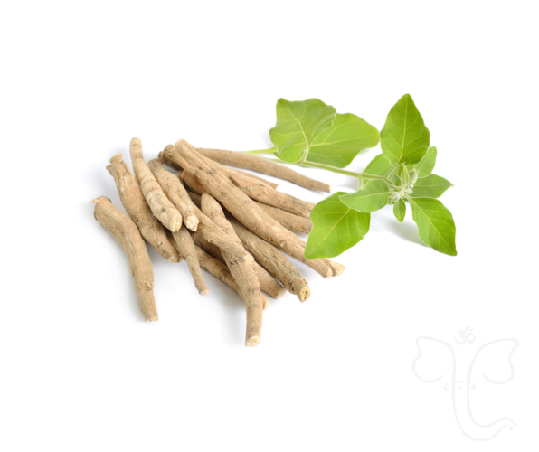 Swanson Ashwagandha Extract (60 kapslí)