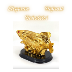 Ryby - Arowana