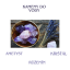 Kameny do vody (ametyst - křišťál - růženín)