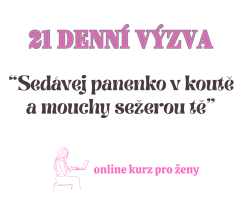 21 denní výzva "Sedávej panenko v koutě a mouchy sežerou tě"