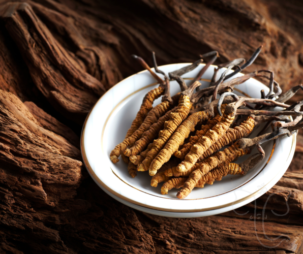 Kapsle Swanson Cordyceps - Zázrak tradiční čínské medicíny