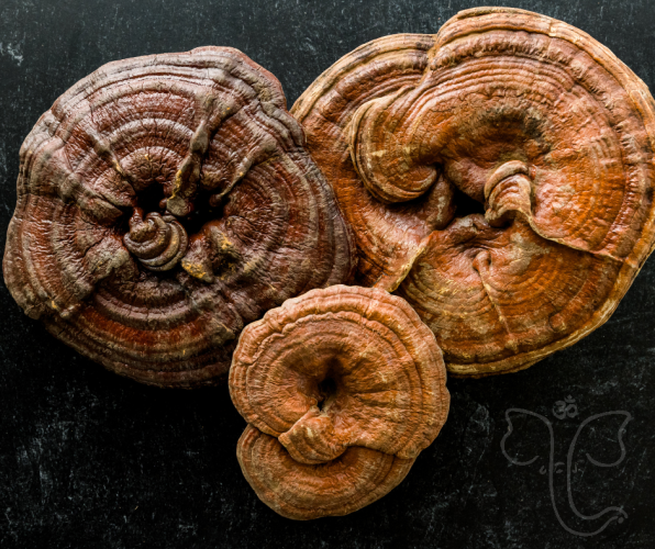 Swanson Triple Mushroom Complex - Podpora imunity