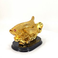 Ryby - Arowana