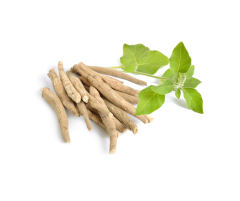 Swanson Ashwagandha (100 kapslí)