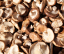 Swanson Full Spectrum Shiitake Mushroom - Podpora imunitního zdraví