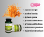 Kapsle Swanson Cordyceps - Zázrak tradiční čínské medicíny