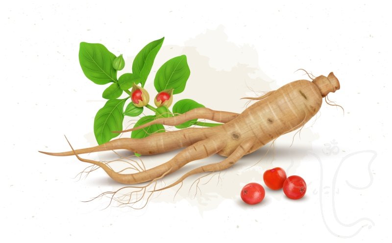 Ashwagandha Beam 60 ks- nejúčinnější přírodní prostředek pro snížení stresu