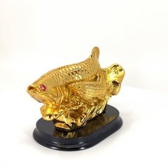 Ryby - Arowana